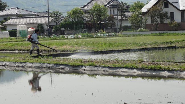 田植え初体験！_f0233414_23211563.jpg