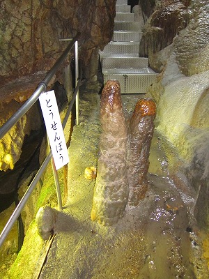 e0224118_2134754.jpg