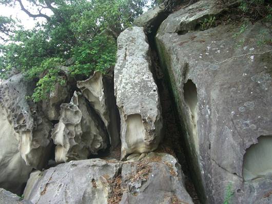d0065324_19552967.jpg