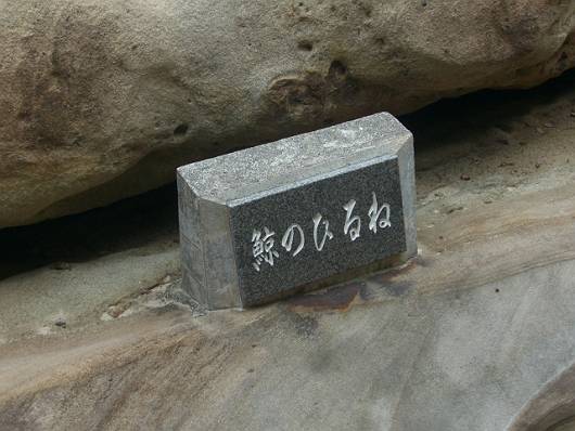 d0065324_19571937.jpg