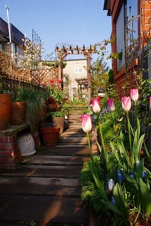 f0170524_13354247.jpg