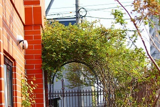 f0170524_1338766.jpg
