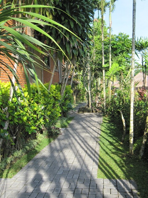 d0133225_1224096.jpg