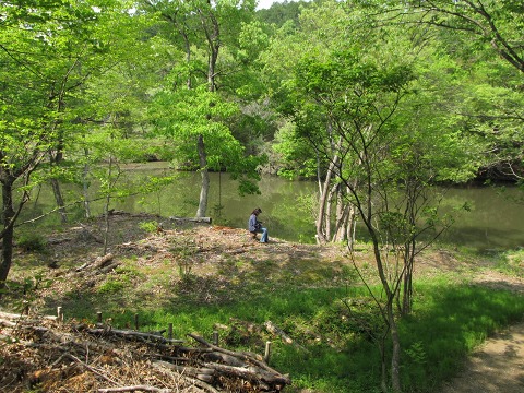 e0202031_1515396.jpg
