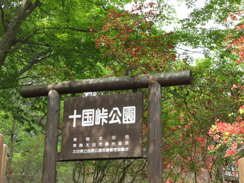 e0202031_15184012.jpg