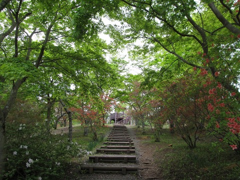 e0202031_15222429.jpg