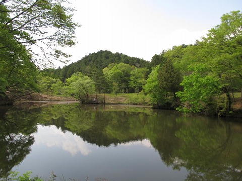 e0202031_15295227.jpg