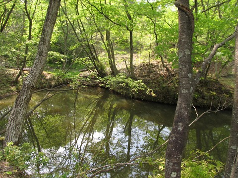 e0202031_153023100.jpg