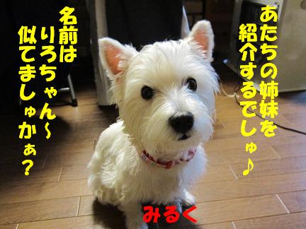 c0212637_12331118.jpg