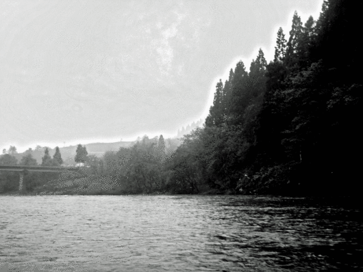 b0072541_19582688.gif