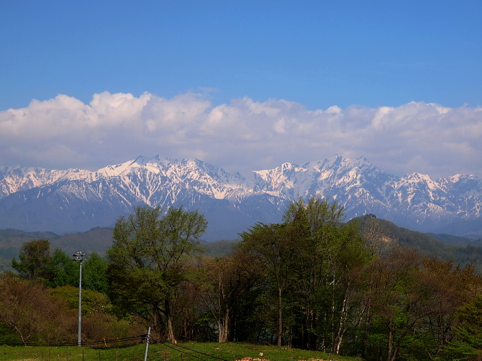 a0106043_17114976.jpg