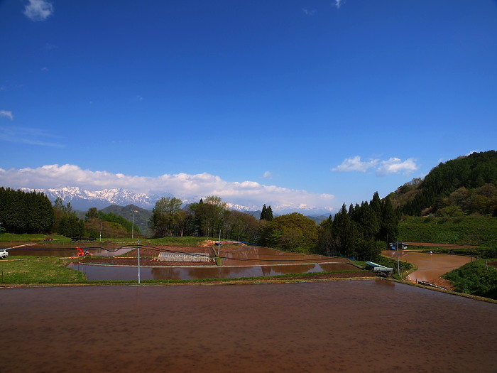 a0106043_1833599.jpg