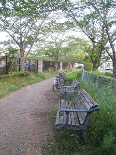 e0228147_0521541.jpg