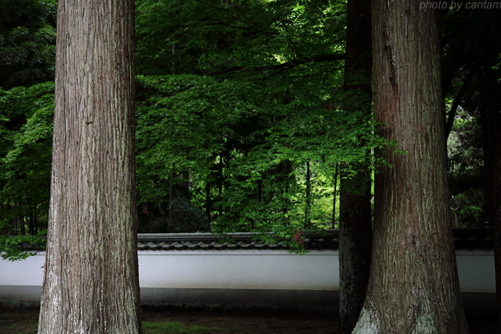 中国観音霊場 三番札所 日光山 千手院 正楽寺_f0091955_2521076.jpg