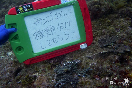 2011.05.21 Sat. みなべ・田辺_e0158261_235226.jpg