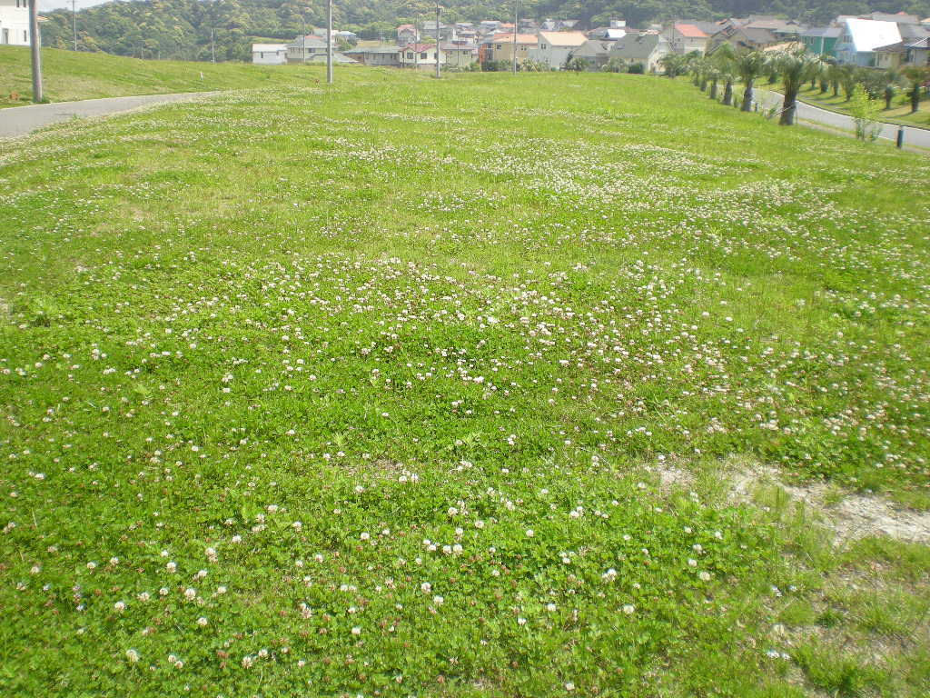2011年5月21日(土)こころちゃん、謹慎中!_f0060461_14492262.jpg