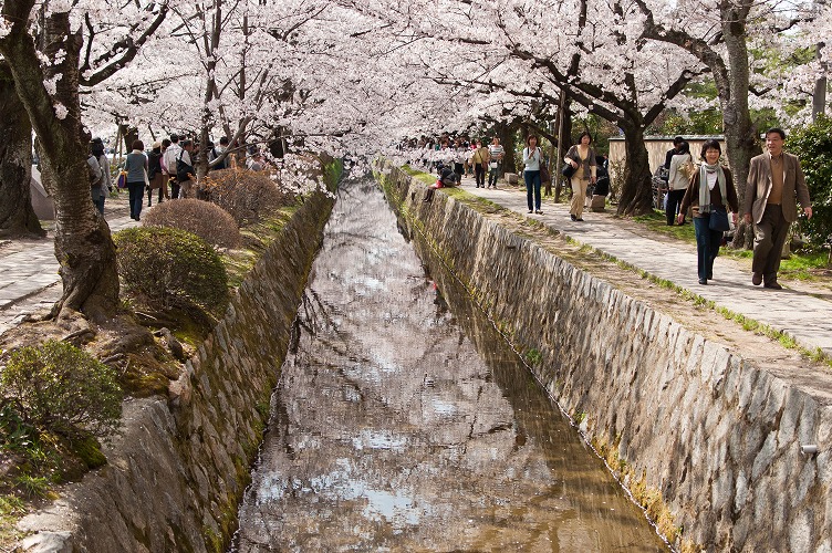 春の京都～その１(自宅周辺～哲学の道入り口)H23.4.10_e0209962_06506.jpg