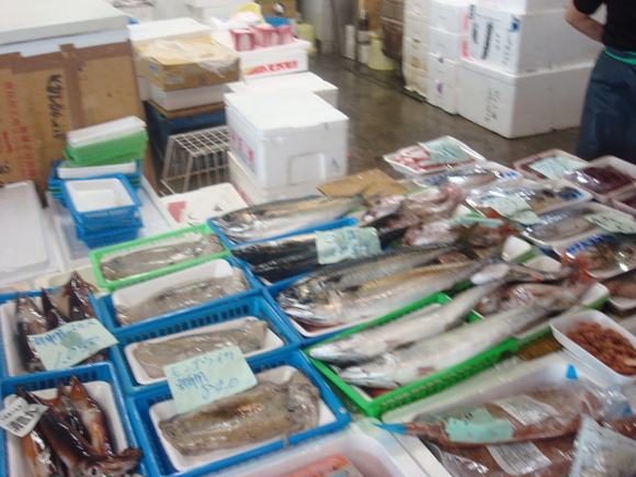 Fresh fish market/ 買出し@DOC_a0186568_11445535.jpg