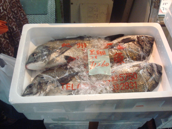 Fresh fish market/ 買出し@DOC_a0186568_11514792.jpg