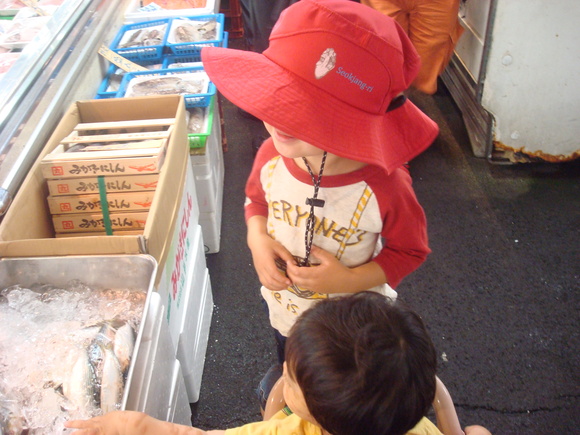 Fresh fish market/ 買出し@DOC_a0186568_11551551.jpg