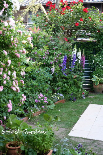 e0154682_09879.jpg