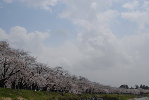 角館・乳頭温泉郷　鶴の湯_d0074683_23281390.jpg