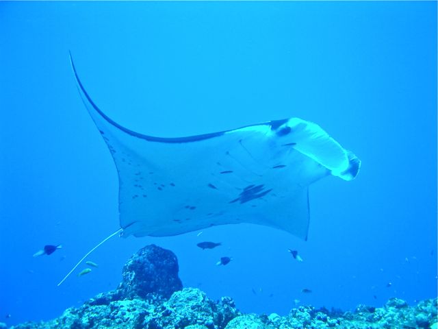 b0121693_03028.jpg