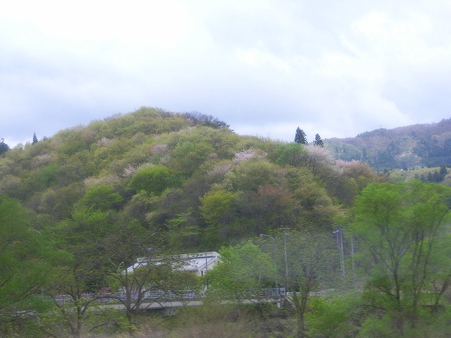 東北へ　　東京から釜石_e0114895_1462122.jpg