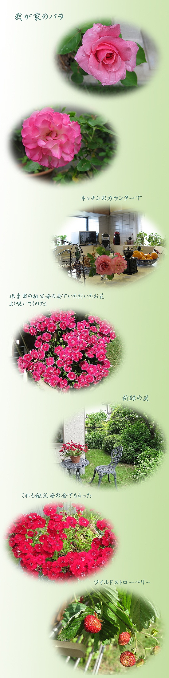 c0121496_18263852.jpg