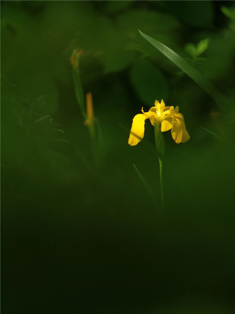 f0224100_12141619.jpg