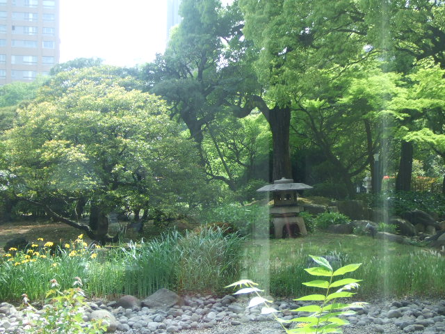f0076001_204335100.jpg
