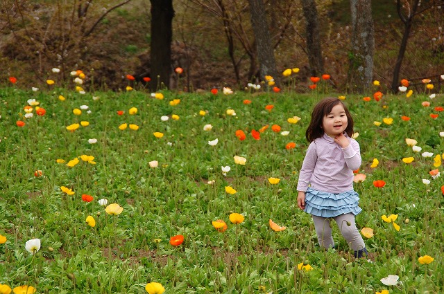 くじゅう花公園の花畑で_a0169902_16351917.jpg