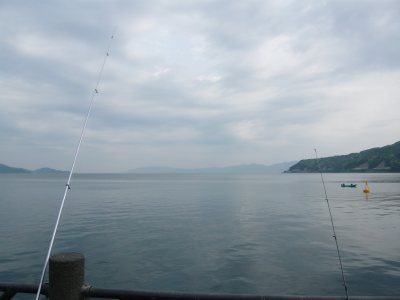 c0024502_206396.jpg