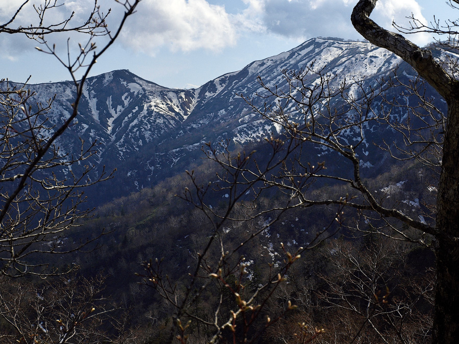 砂金山（三等三角点　浦臼町）　　2011.5.22_f0200402_22193682.jpg