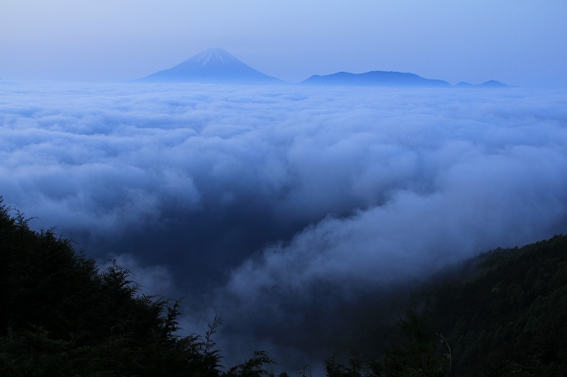 a0188405_21134587.jpg