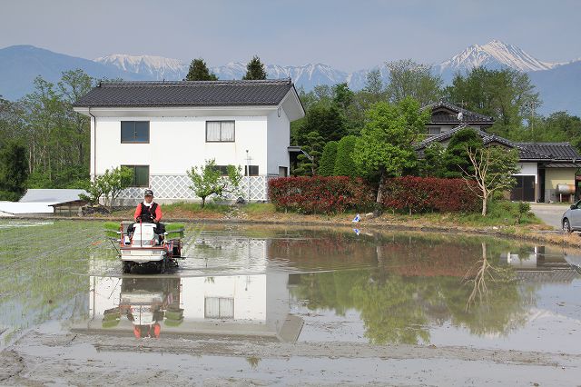 安曇野の田植え_a0188405_5145388.jpg