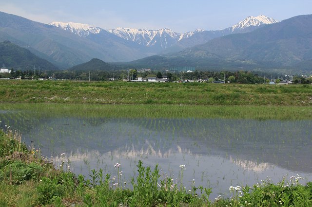 安曇野の田植え_a0188405_5233298.jpg