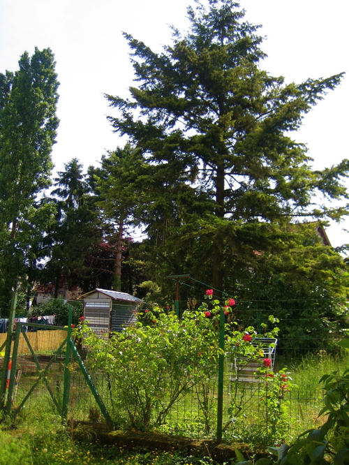 d0135907_2584413.jpg
