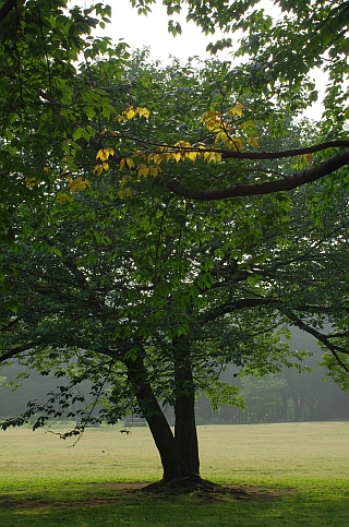 c0156908_23422674.jpg