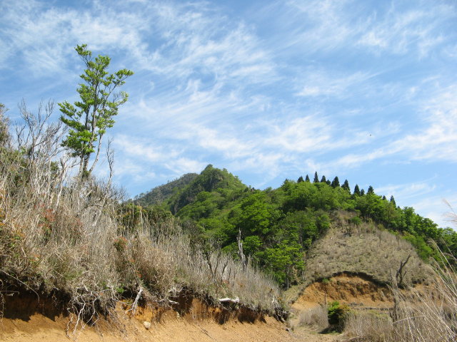 d0006512_23574267.jpg