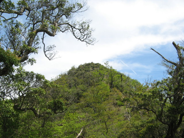 d0006512_2359859.jpg