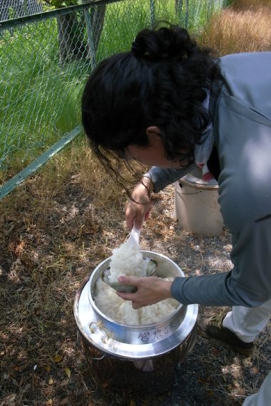 ＪＡひたち野で田植え_e0224413_2125391.jpg