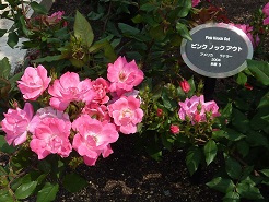 a0177314_9574078.jpg