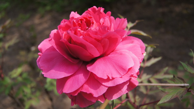 f0233414_00157.jpg