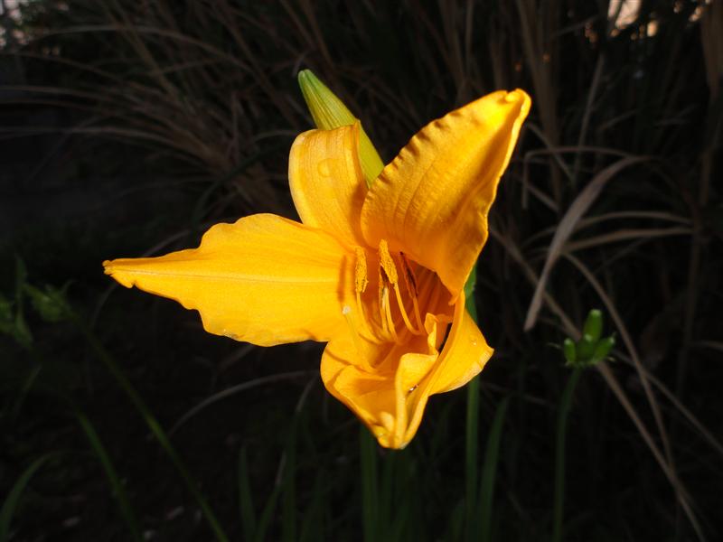 a0127015_21411731.jpg