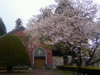 ~函館への小旅行～_f0126417_19352062.jpg