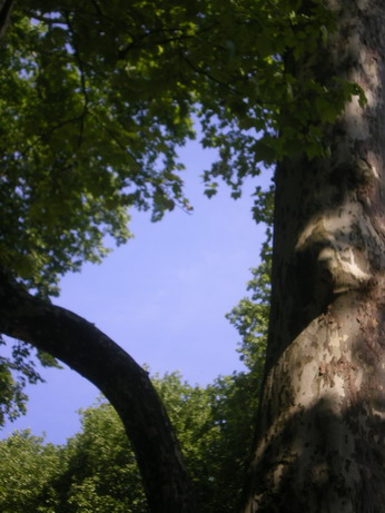 c0124619_14541371.jpg