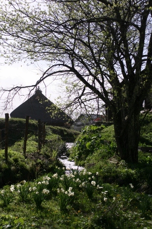 f0097620_1056792.jpg