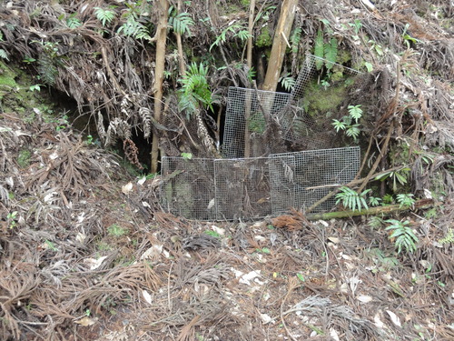 f0142721_14522613.jpg