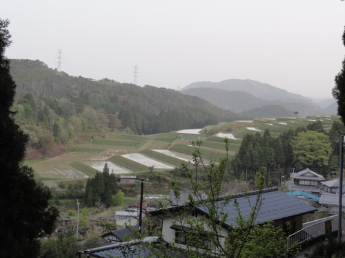 f0142721_1519920.jpg